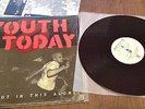 youth of today judge sick of it all gorilla biscuits PURPLE VINYL
