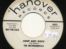 INSTRUMENTALS on Hanover —CHOP SUEY ROCK— surf mod r&b tittyshaker PROMO LISTEN
