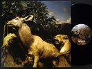 Interpol - Our Love To Admire / 2007, Vinyl 2LPs, NMINT