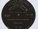 Ernie Bush 