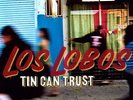 Los Lobos - Tin Can Trust [Vinyl New]