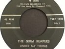 The Grim Reapers 60s Garage 45 on Trail   Under My Thumb   Hear it