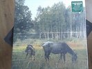 PIANOS BECOME THE TEETH  old pride,LP,NEU