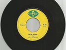 LLOYD AND DEVON / OUT OF THE FIRE / CAN'T UNDERSTAND / 7''/ EX