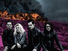 The Dead Weather - Dodge and Burn