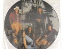 Vintage 90s Guns N' Roses Don't Cry Single German Import Picture Disc Record