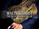 The Blues Came Callin' - TROUT WALTER [2x LP]