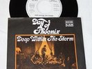Chicken Skin Deep within the Storm # Promo weiss Label sehr selten # 7