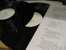 Peter & The Test Tube Babies RARE TEST PRESSING Mating Sounds Frogs db Viny lpl