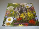 CURRENT 93 - Swastikas For Noddy // Crooked Crosses For The Nodding - 2LP Vinyl