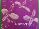 RAVEN Same / Back to Ohio Blues US HEAVY PSYCH PROG Rockadelic 1971 Lim. 500