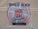 TEMPLE OF THE DOG Hunger Strike 7
