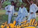 CHANTELLS Waiting In The Park PHASE ONE LP REPRESS MINT