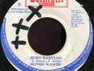 Sylford (Silford) Walker - Burn Babylon JA Belmont 7