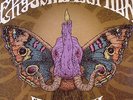 CRYSTAL SYPHON - Elephant Ball - Vinyl (LP + MP3 download code)