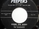 ANGELENOS 45 Come On Baby / Hully Gully Fever VG++ Doo Wop PEEPERS 1961 e1639