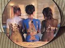 Pink Floyd - Rare Beauties -  Picture Disc