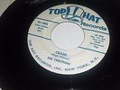 THE CREATIONS Crash / Chickie Darlin TOP HAT 1003 RARE SURF ROCK 45