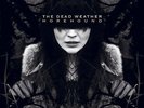 Dead Weather - Horehound 2x 180g vinyl LP SEALED Third Man Jack White Stripes