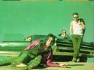 Total 13 [VINYL] Backyard Babies Vinyl