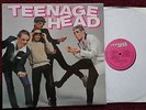 CANADIAN PUNK- TEENAGE HEAD 1st LP 1981 OTHER PEOPLES MUSIC *MINT-*