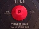 Rockabilly Surf 45 TEDDY AND ROUGH RIDERS Thunder Head / Tomahawk TILT VG++