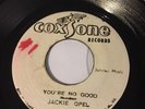 Jackie Opel - You're No Good / Roy Richards - Green Collie - Coxsone SKA VG+ mp3