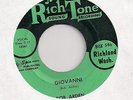 BOB ARDEN  Giovanni / Party Girl (Rich Tone 18361)60's NW Lounge Popcorn 45 HEAR