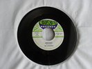 Original Collector Rocker '45 The Catalinas 