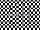 Carter Tutti Void - Transverse Vinyl Record LP