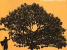 Jack Johnson - In Between Dreams LP Vinyl NEW