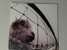 Vs. [LP] by Pearl Jam (Vinyl, Oct-1993, Epic Associated)