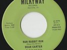 RARE ORIGINAL GARAGE ROCK ROCKABILLY 45 - DEAN CARTER - RUN RABBIT RUN - LISTEN
