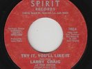 Northern/Sweet Soul 45 - Larry Craig - Try It, You'll Like It - Spirit - rare