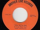 Northern/Deep Soul 45 - Bobby Strickland - After All - Brother Love - VG++ mp3