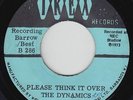 Sweet Soul Islands 45 - Dynamics - Please Think It Over - Trex - mp3