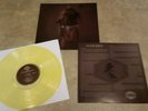 The Dear Hunter Migrant - vinyl yellow