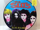 THE SLITS In The Beginning PICTURE DISC VINYL LP Brand New Get Back/Earmark 2001