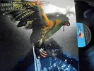 BUDGIE-IN FOR THE KILL