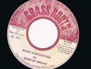 ORIG JA Grass Roots SONS OF BRAVE What a situation LEE PERRY BLACK ARK * LISTEN