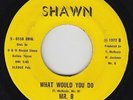 Sweet Soul Funk 45 - Mr. B - What Would You Do - Shawn - mp3