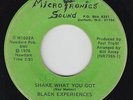 Funk Disco/Sweet Soul 45 - Black Experiences - Shake What You Got - Microtronics