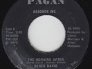Funk/Deep Soul 45 - Derek David - The Morning After - Pagan - VG+ mp3