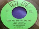 Rare Rockabilly Rocker 45 : Randy Proffitt and The Beachcombers   Bett-Coe 103