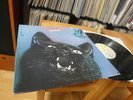 BUDGIE IMPECKABLE 1st UK Press LP MINT 70s WALES PROG.