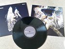 Courteeners LP Falcon