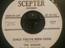 Anglos  -  Since You've Been Gone  -  Scepter WD (Storming RARE dancer)