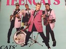 RARE LP OF THE TEENCATS 