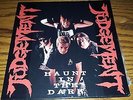 Judgement - Haunt in the Dark / Mad Dog- Japanese pressing Vinyl 45 NM