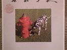 RUSH  PROMO COPY  LP     SIGNALS